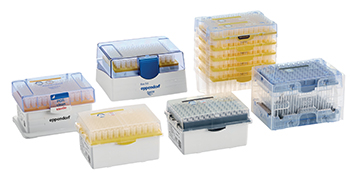 BioBased Reloads BioBased Reloads