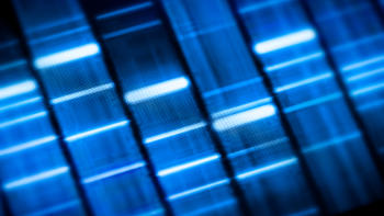 Next Generation Sequencing