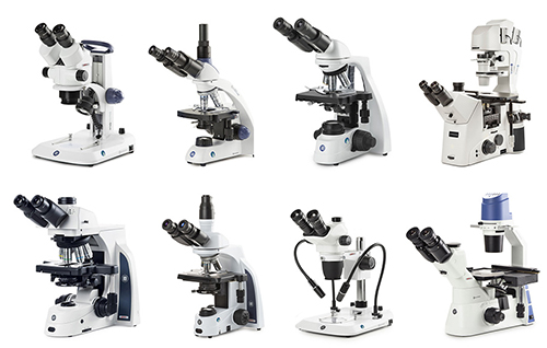 Microscopes Microscopes
