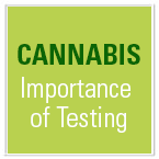 The Importance of Cannabis Testing