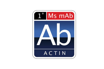 Primary Antibodies and Controls-  Anti-Bacteria (BacTrace)