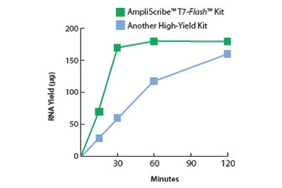 In Vitro Transcription & RNA In Vitro Transcription & RNA