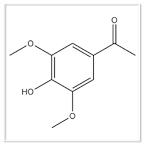 Molecular Biology