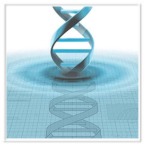 Nucleic Acid Chemistry Synthesis Reagents