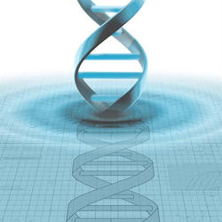 Nucleic Acid Chemistry Synthesis Reagents