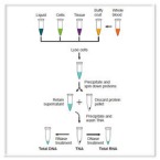 Nucleic Acid Extraction & Purification