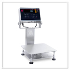 Bench Scales