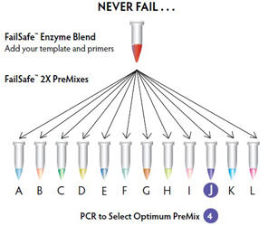 PCR Reagents