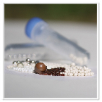 Pre-filled Homogenizer Bead Kits