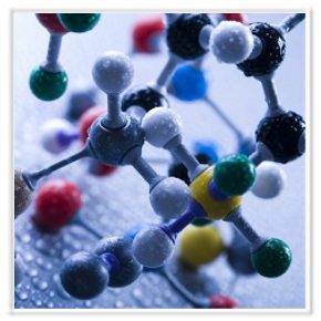 Protein & Peptide Quantification Kits