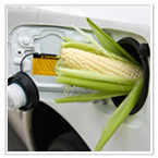 Renewable Biofuels