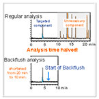 Backflushing System