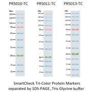 Labelling, Stains, Dyes & Markers