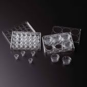 Permeable Cell Culture Inserts, Packed in 6 Well Plate, Hanging, PET, 8.0µm, sterile 12