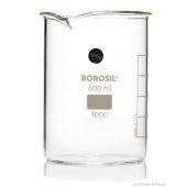Borosil® Beakers, Low-Form, with Spouts, 600mL, 20/CS