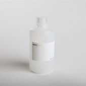5% SDS, 2X100 ML KIT