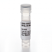 2X BHQ Probe Master Mix, No ROX, 10mL