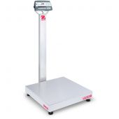 Bench Scale, D52P500RQV3