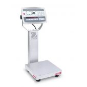 Bench Scale, D52XW12WQS6