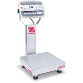 Bench Scale, D52XW50RQR1