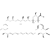 AMPHOTERICIN B Storage Temp: 2-8 C