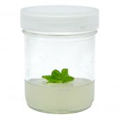 CULTURE VESSEL, GLASS, 8 OZ Storage Temp: RT