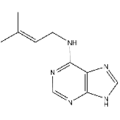 6-y,y-DIMETHYLALLYLAMINOPURINE Storage Temp: -20 C