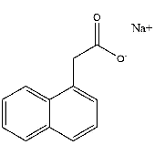 NAPTHALENEACETIC ACID, Na-NAA Storage Temp: RT