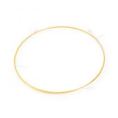 Guard Column, IP Deactivation 5m, 0.10mm ID, 0.363mmOD