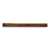 Radiello Cart VOCs-thermal desorption SS net (3x8um mesh 4.8mm diam) 350mg carbograph 4 (40-60 mesh) 20-pk