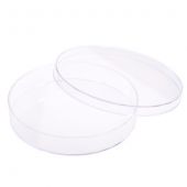 150mm x 25mm Tissue Culture Treated Dish, Sterile 5/Bag 60