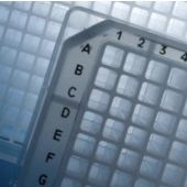 TempPlate polypropylene 384-well PCR plate, A24 and P24 notches, 10/box. Natural.