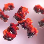AP-LABELED ANTI-HUMAN IGG (H+L), 0.1 MG