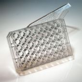 CytoOne 48-Well Plate with Lid Flat Bottom, Tissue Culture Treated, Sterile, 50pcs/unit