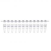 Tempassure 0.2 mL PCR pull-apart tube strips with separate strips of dome caps. 80 strips of 12 of each tubes and caps (960 tubes and caps). Natural.