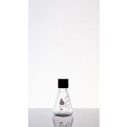 Bellco Glass, Inc - Screw Cap Grad Erlenmeyer  Flask ,25mL 18mm Screw Cap. (24/Case)