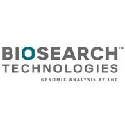 Human RnaseP Positive Control Probe 5 nmol del