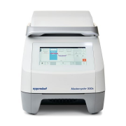 PROMO Mastercycler® X50s (Silver block, 96-well plate or 0.1/0.2mL tubes). Includes: Mastercycler® X50s, 110-230V 96-well thermoblock, silver with control panel, EU and US plug.