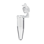 PROMO Eppendorf PCR Tubes! 0.2mL, single tubes, PCR clean, 1000 tubes.