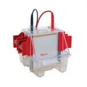 SE260 FOR PRE-CAST SLAB GEL. Mini Vertical Electrophoresis Units, (miniVE, SE260/SE250)