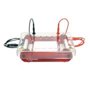 HORIZONTAL SUB UNIT- 10X11.5. Horizontal, Agarose Electrophoresis Units