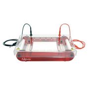 HORIZONTAL SUB UNIT- 13X15. Horizontal, Agarose Electrophoresis Units