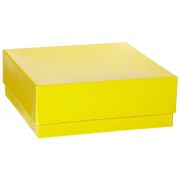 Heathrow Scientific cryogenic cardboard vial boxes with lids. L x W x H: 133 x 133 x 50mm, assorted colours (blue, red, yellow). 12/pk. Partitions sold separately. .