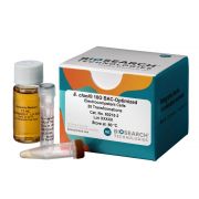 E. cloni® 10G BAC-Optimized Electrocompetent Cells 25 rxns (FIVERs) -80º C