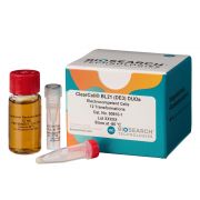 ClearColi® BL21(DE3) Electrocompetent Cells 24 rxns (DUOs) -80º C