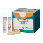 COPYCUTTER EPI400 ELECTROCOMPETENT E.COLI 10 rxns -80º C