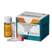 E. cloni® 10G CLASSIC Electrocompetent Cells 24 rxns (SixPacks) -80º C