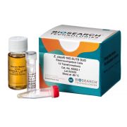 E. cloni® 10G ELITE Electrocompetent Cells 24 rxns (SixPacks) -80º C