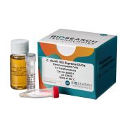 E. cloni® 10G SUPREME Electrocompetent Cells 12 rxns (DUOs) -80º C