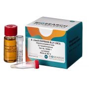 E. cloni® EXPRESS BL21(DE3) Chemically Competent Cells 12 rxns -80º C